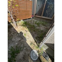 ナチュラル人工芝施工の画像1