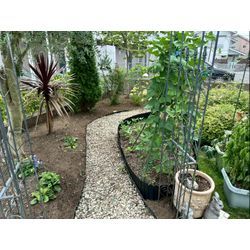 草むしりをさせて頂きました！の画像3