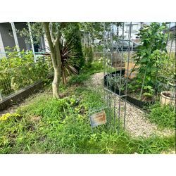 草むしりをさせて頂きました！の画像1