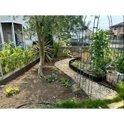 草むしりをさせて頂きました！の画像2