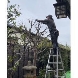 四季を感じられるお庭。庭木と生垣を整えてきました！の画像1