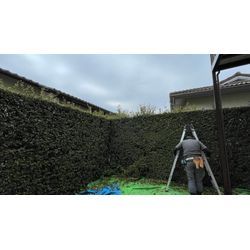 四季を感じられるお庭。庭木と生垣を整えてきました！の画像2