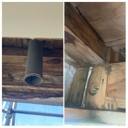 ベランダの中に侵入者⁉️⁉️⚠️の画像2