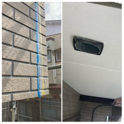 ベランダの中に侵入者⁉️⁉️⚠️の画像3