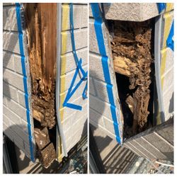 ベランダの中に侵入者⁉️⁉️⚠️の画像1