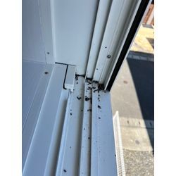 熊本市南区　コウモリ対策　シャッターの画像1