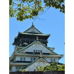 歴史ある建物の屋根から学ぶ“雨仕舞い”の大切さ　大阪城編の画像2