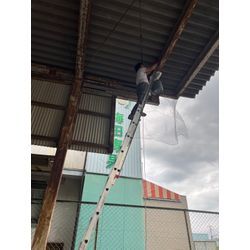 ハト対策の画像1