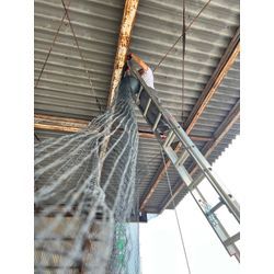 ハト対策の画像3