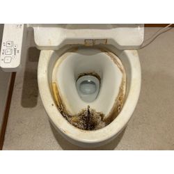 おそうじ日記🧹トイレ編の画像1