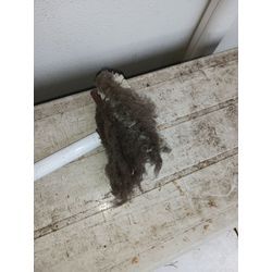 富士通ゼネラルAS-C406Hノーマル2017年式の画像3