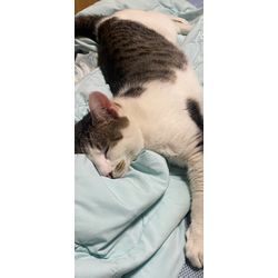 6月って💦の画像1