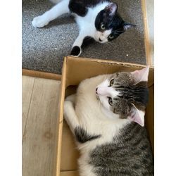 6月って💦の画像2