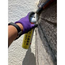 三重県にてコウモリ駆除防除対策を行いました。の画像1