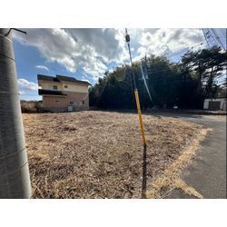 除草作業をさせて頂きました！の画像2