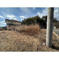 除草作業をさせて頂きました！の画像1