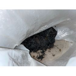 多摩市でドラム式洗濯機の詰まり除去に行ってきました！の画像2