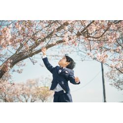 【桜シーズンのご予約についてのお礼】の画像3