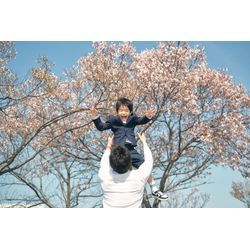 【桜シーズンのご予約についてのお礼】の画像2