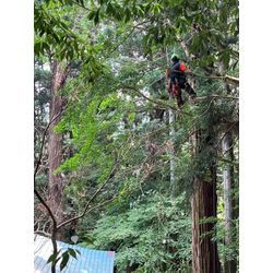 「くらしのエッセイ」#6〜考える力で差をつける！くらしのマーケットで輝く自分らしさ〜の画像1