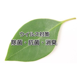 ウイルス対策に！の画像1