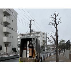 2026年2月8日⛄️横浜市でも雪です😊の画像1