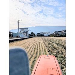 今日から二刀流の画像1