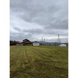 大規模草刈りを行いました！の画像1