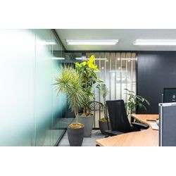 2025年9月撮影レポート（神奈川・オフィス撮影）の画像2