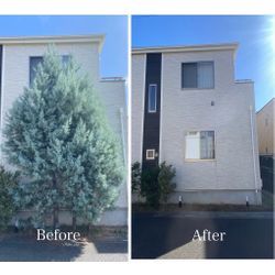 家の前がこんなにスッキリ！大型樹木の伐採で明るい外観に生まれ変わりましたの画像1