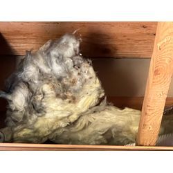 ネズミ駆除に伴うリフォームの画像1