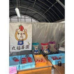 春の楽しみ、いちご狩りに行ってきました🍓の画像2