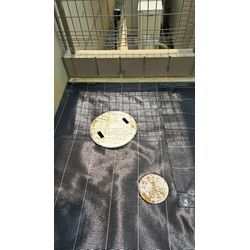 まだまだ残暑で砂利敷きの画像2