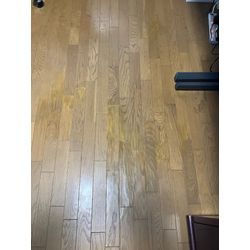 床の補修の画像2