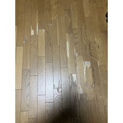 床の補修の画像1