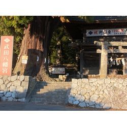 南アルプスから自転車引き取り、ビューンの画像2