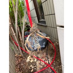 ねっこ詰まり通菅作業の画像1