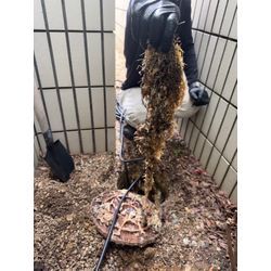 ねっこ詰まり通菅作業の画像3