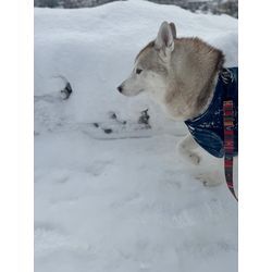 油汚れにはクリーニングをの画像1