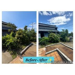 過去の施工例🌳✨️の画像3