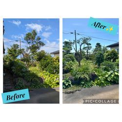 過去の施工例🌳✨️の画像1