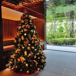 サンタさんの忘れものと、こりこり切り干し大根の画像1