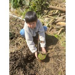 果樹園その2の画像1