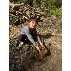 果樹園その2の画像2