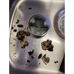 キッチンの排水口の画像2