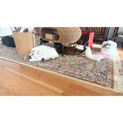 はじめまして！新規オープンしました。の画像2