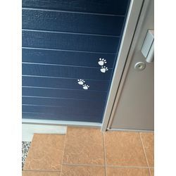 外壁塗装の画像1