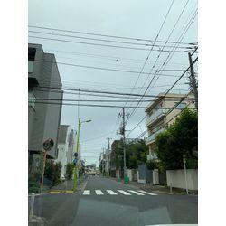 今日から8月、今日はドンヨリ⁈の画像1