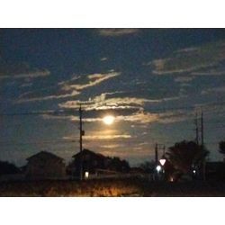 今年もゴールが少し見えて来た！最後の踏ん張り！　〜群馬高崎の植木屋ゆうさんShortBlog〜の画像3