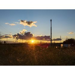 今年もゴールが少し見えて来た！最後の踏ん張り！　〜群馬高崎の植木屋ゆうさんShortBlog〜の画像2